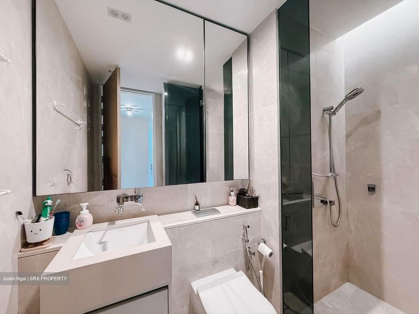 Amber Park (D15), Condominium #561499921